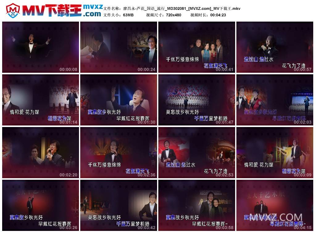 廖昌永-芦花_国语_流行_MD302081